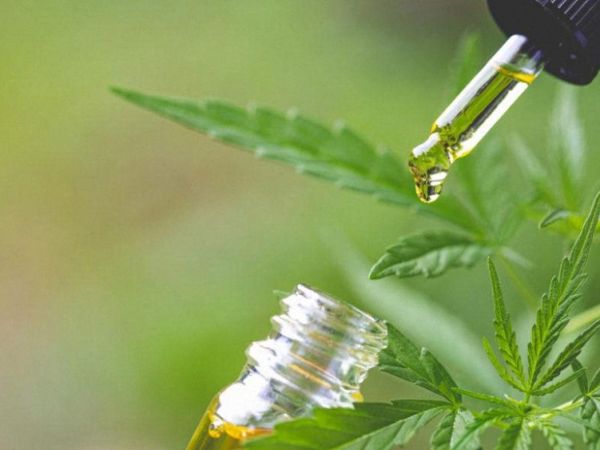 Why Cbd Become Top Choice for Active&nbsp;Lifestyle